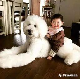 老二狗的外婆爆料视频下载 第1张 老二狗的外婆爆料视频下载 第1张