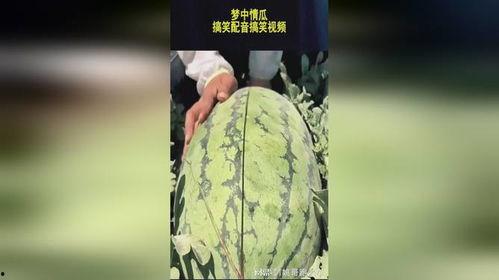 吃瓜清脆配音视频大全免费观看,带你领略声优魅力  第2张