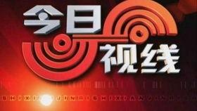 今日爆料官方电话,今日爆料背后的真实故事  第2张