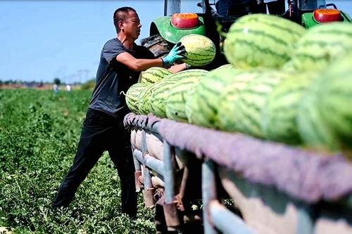 新沂新瓜最新爆料视频,最新爆料内容大起底  第2张